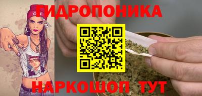 ГАЛЛЮЦИНОГЕННЫЕ ГРИБЫ Гатчина