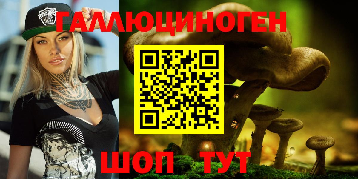 Псилоцибиновые грибы мицелий Губкин